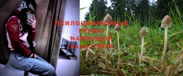 мефедрон Каменногорск